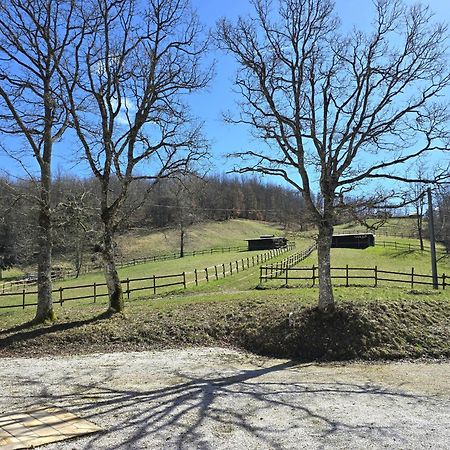 Oasi Di Pace Nella Val Di Taro Appartement Compiano Buitenkant foto